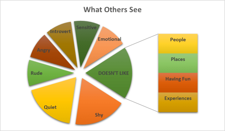 What Others See - Negative