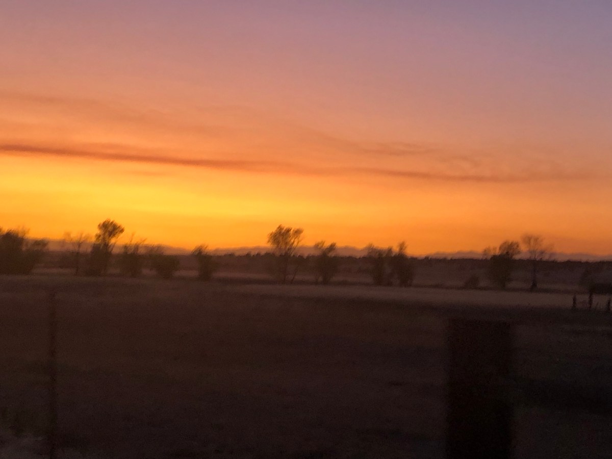 Mast Cell Activation&nbsp;Syndrome