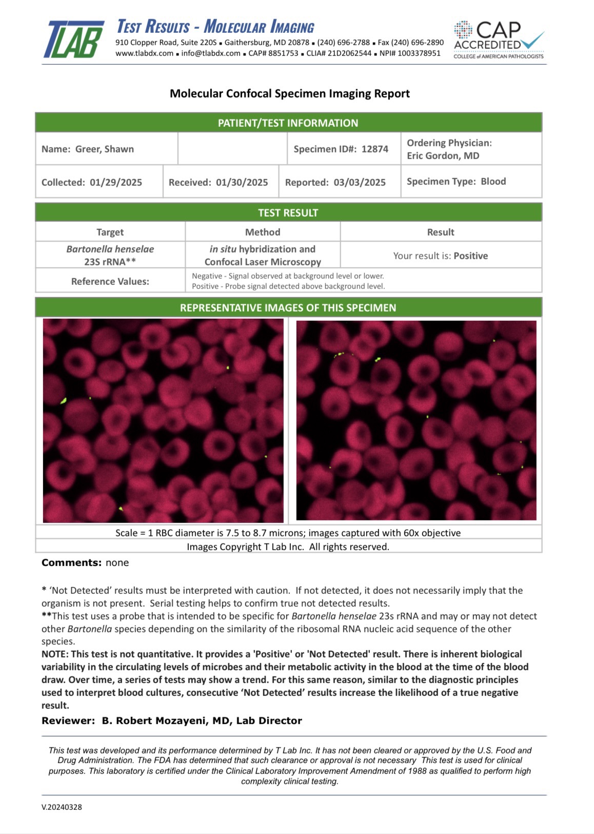 Blood Test Results – PhilippiJoy